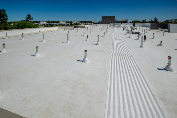 Best Roof Insulation Installation  in Cumberland, KY